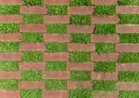 Artikel op NWST: Swanenberg toont klimaatadaptieve verharding op Hoveniersdag